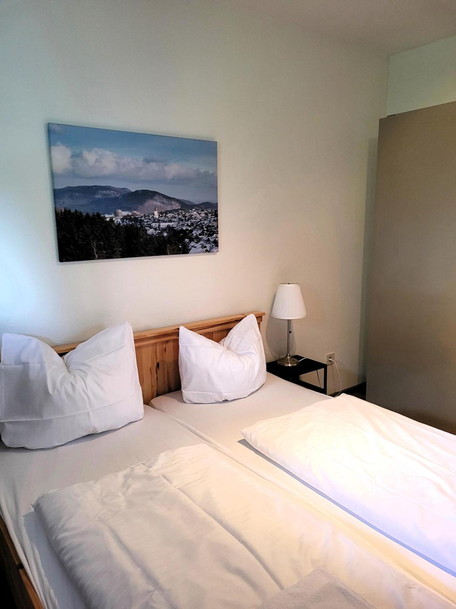 Winterberg Appartement 21097 Ngoại thất bức ảnh